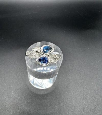 8EA8DA83-9247-4D57-BFA1-BFDE0E31FBE2_1_105_c